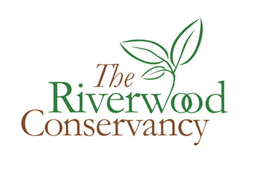 The Riverwood Conservancy